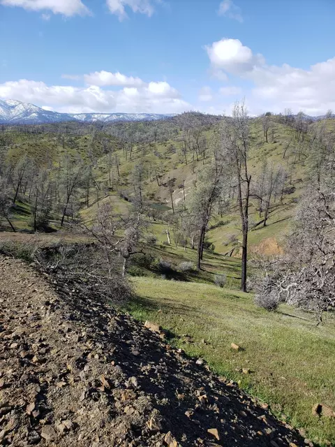 Vestal, Red Bluff, CA 96080 photo 13