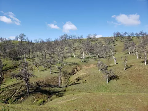 Vestal, Red Bluff, CA 96080 photo 9