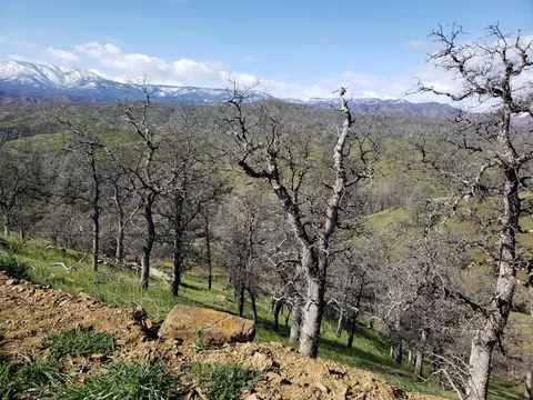 Vestal, Red Bluff, CA 96080 photo 12