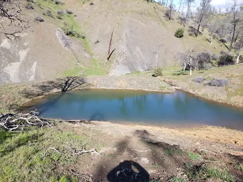 Vestal, Red Bluff, CA 96080 photo 15