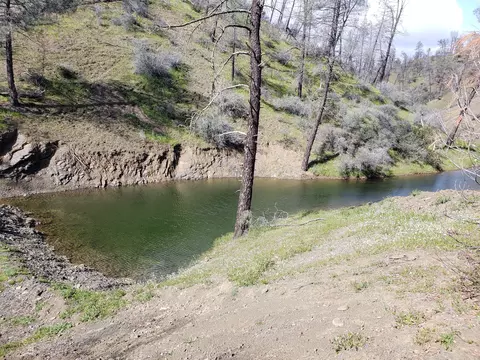 Vestal, Red Bluff, CA 96080 photo 2