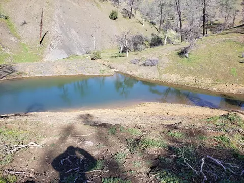 Vestal, Red Bluff, CA 96080 photo 16