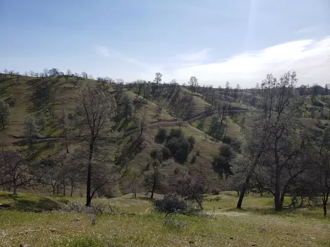 Vestal, Red Bluff, CA 96080 photo 22