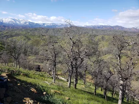 Vestal, Red Bluff, CA 96080 photo 10