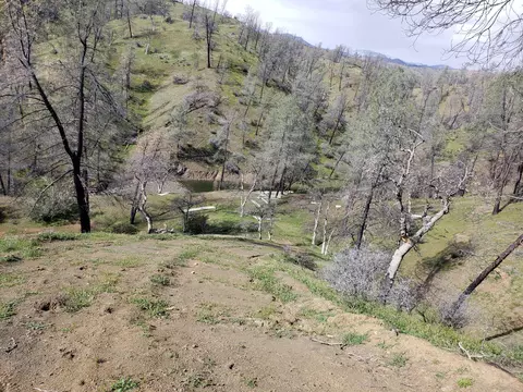 Vestal, Red Bluff, CA 96080 photo 24