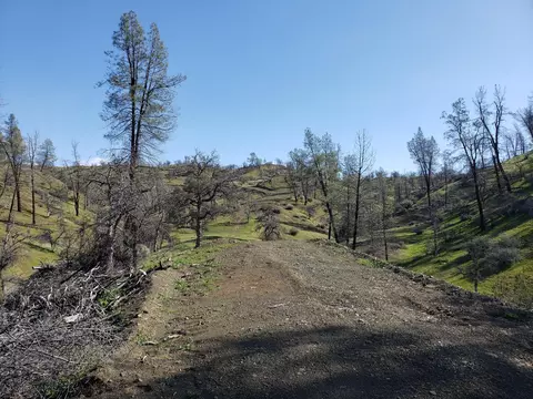 Vestal, Red Bluff, CA 96080 photo 19