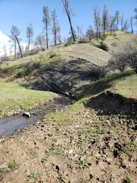 Vestal, Red Bluff, CA 96080 photo 21