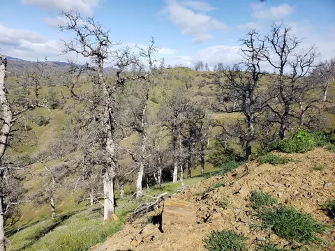 Vestal, Red Bluff, CA 96080 photo 11