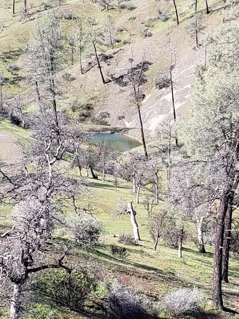 Vestal, Red Bluff, CA 96080 photo 14