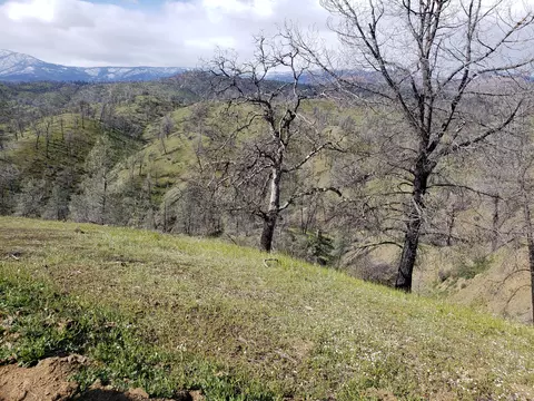 Vestal, Red Bluff, CA 96080 photo 23
