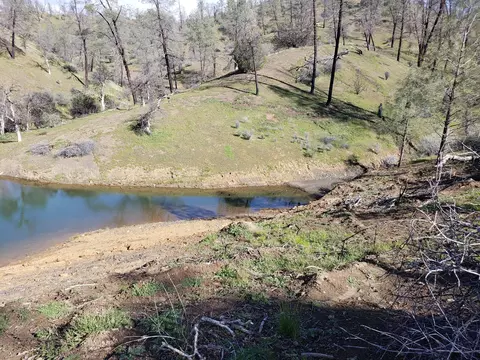 Vestal, Red Bluff, CA 96080 photo 17