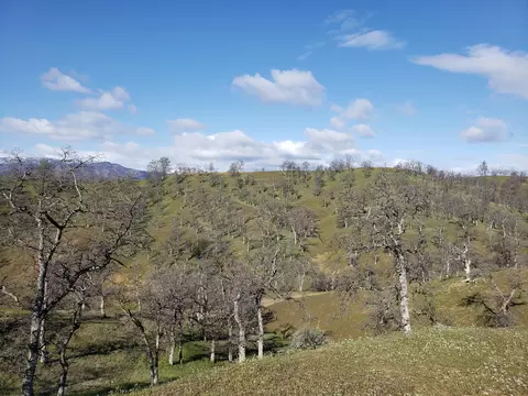 Vestal, Red Bluff, CA 96080 photo 8