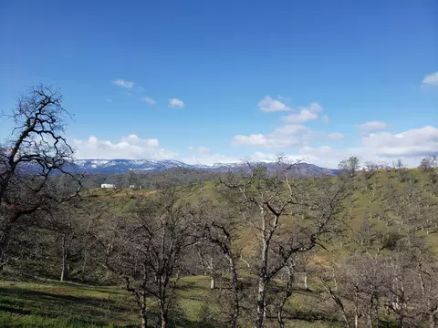 Vestal, Red Bluff, CA 96080 photo 7