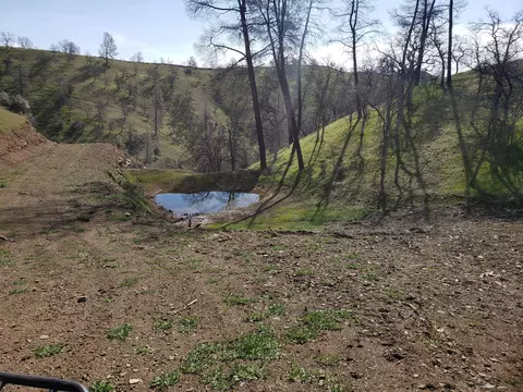 Vestal, Red Bluff, CA 96080 photo 25