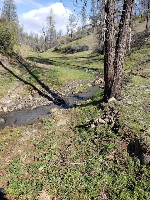 Vestal, Red Bluff, CA 96080 photo 20