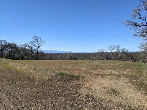 000 Kobbuntie Ct, Red Bluff, CA 96080 photo 4