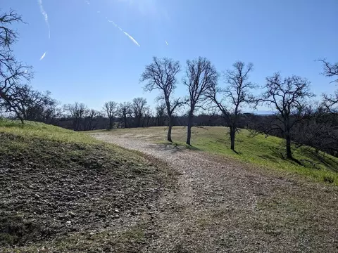 000 Kobbuntie Ct, Red Bluff, CA 96080 photo 3