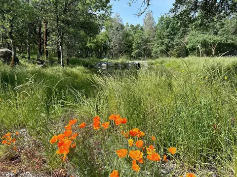 21292 Jennifer Dr, Redding, CA 96003 photo 7