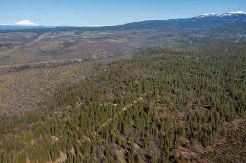 5 Acres Whitmore Dr, Whitmore, CA 96096