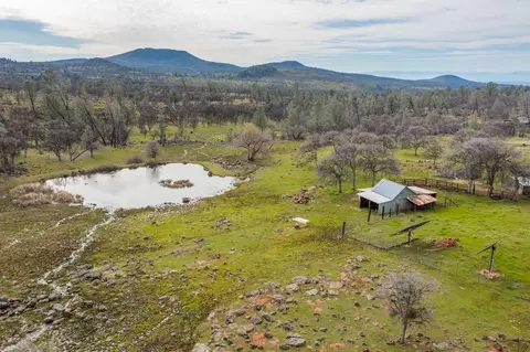 View/Area - 30125 Manton Rd, Manton, CA 96059 photo 1 of 11