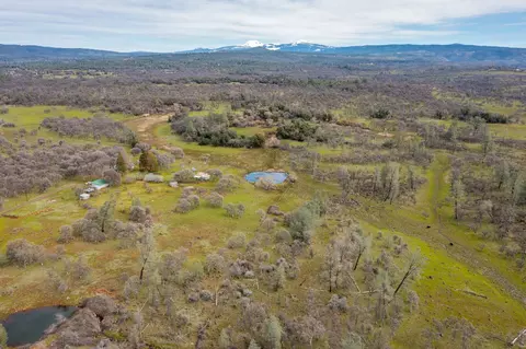 View/Area - 30125 Manton Rd, Manton, CA 96059 photo 5 of 11