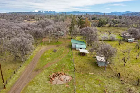 View/Area - 30125 Manton Rd, Manton, CA 96059 photo 3 of 11