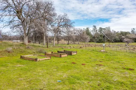 View/Area - 30125 Manton Rd, Manton, CA 96059 photo 8 of 11