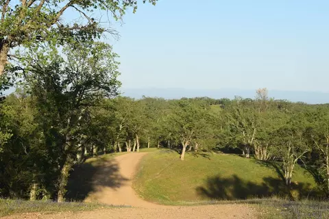 0 Bull Run Trl, Red Bluff, CA 96080 photo 4