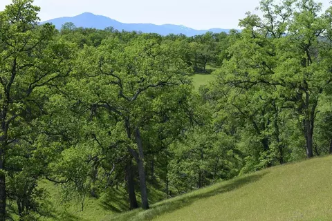 0 Bull Run Trl, Red Bluff, CA 96080 photo 7