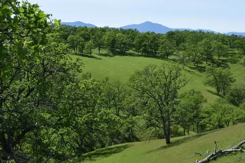 0 Bull Run Trl, Red Bluff, CA 96080 photo 8