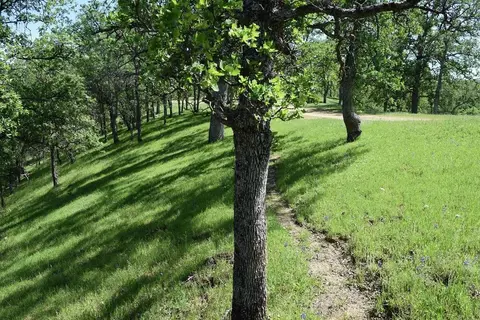 0 Bull Run Trl, Red Bluff, CA 96080 photo 9