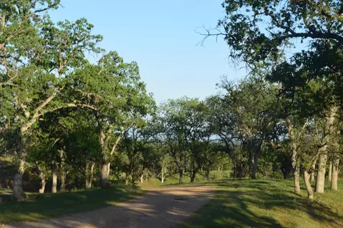 0 Bull Run Trl, Red Bluff, CA 96080 photo 5