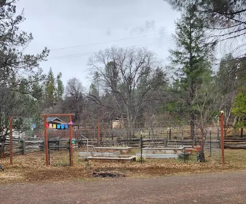 View/Area - 21609 Oak Dr, Cassel, CA 96016 photo 1 of 1