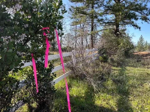 Black Butte Rd., Shingletown, CA 96088 photo 6