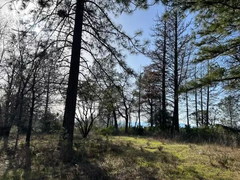 Black Butte Rd., Shingletown, CA 96088 photo 4