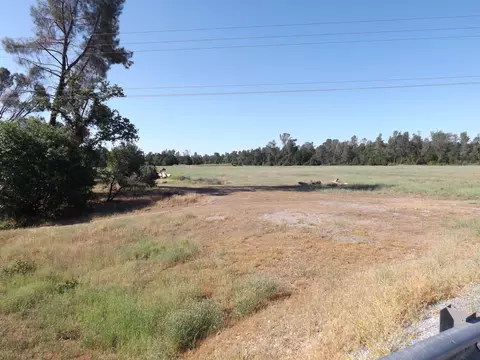 lot1 Unit 2 Ph 2 Stillwater, Redding, CA 96003 photo 2