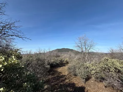 Patterson Ranch Road, Round Mountain, CA 96084 photo 7