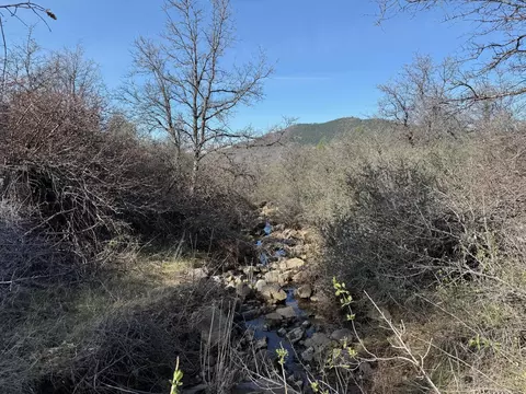 Patterson Ranch Road, Round Mountain, CA 96084 photo 12