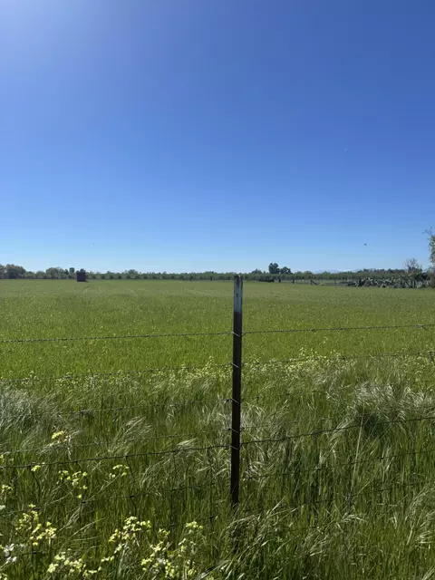 00 Mcclure Ave, Gerber, CA 96035 photo 3