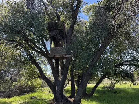 Vassar Road, Red Bluff, CA 96080 photo 24