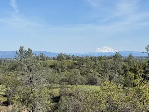 Vassar Road, Red Bluff, CA 96080 photo 3