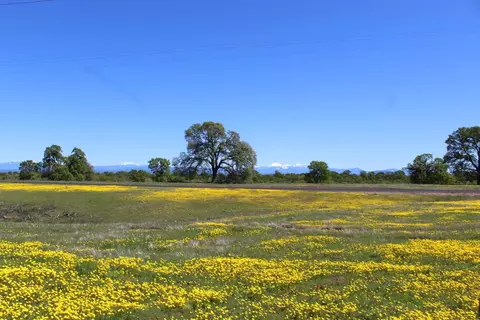19073 River Downs Way, Cottonwood, CA 96022