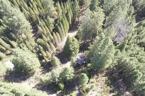 18655 Seclusion Dr, Montgomery Creek, CA 96065
