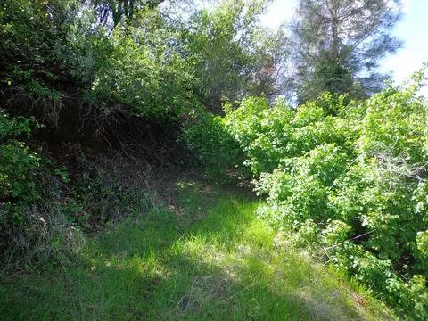 22076 Loop Dr, Redding, CA 96003 photo 12