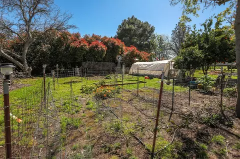 12490 Muller Ave, Red Bluff, CA 96080 photo 30