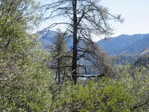 lot7 Waterman Rd, Lakehead, CA 96051