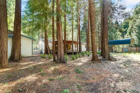 35300 Bethany Way, Shingletown, CA 96088 photo 28