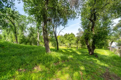 2330 West St, Redding, CA 96001 photo 35