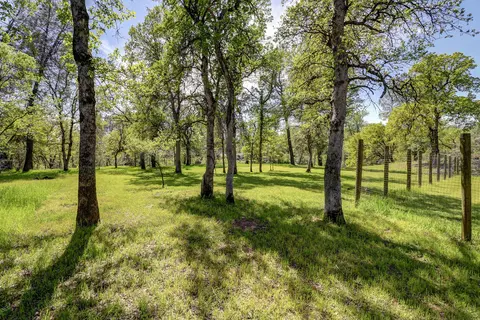 19195 Hollow Ln, Redding, CA 96003 photo 20