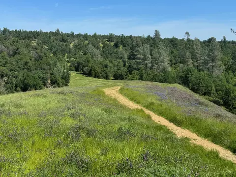 3845 Sunglow Dr, Redding, CA 96001 photo 39